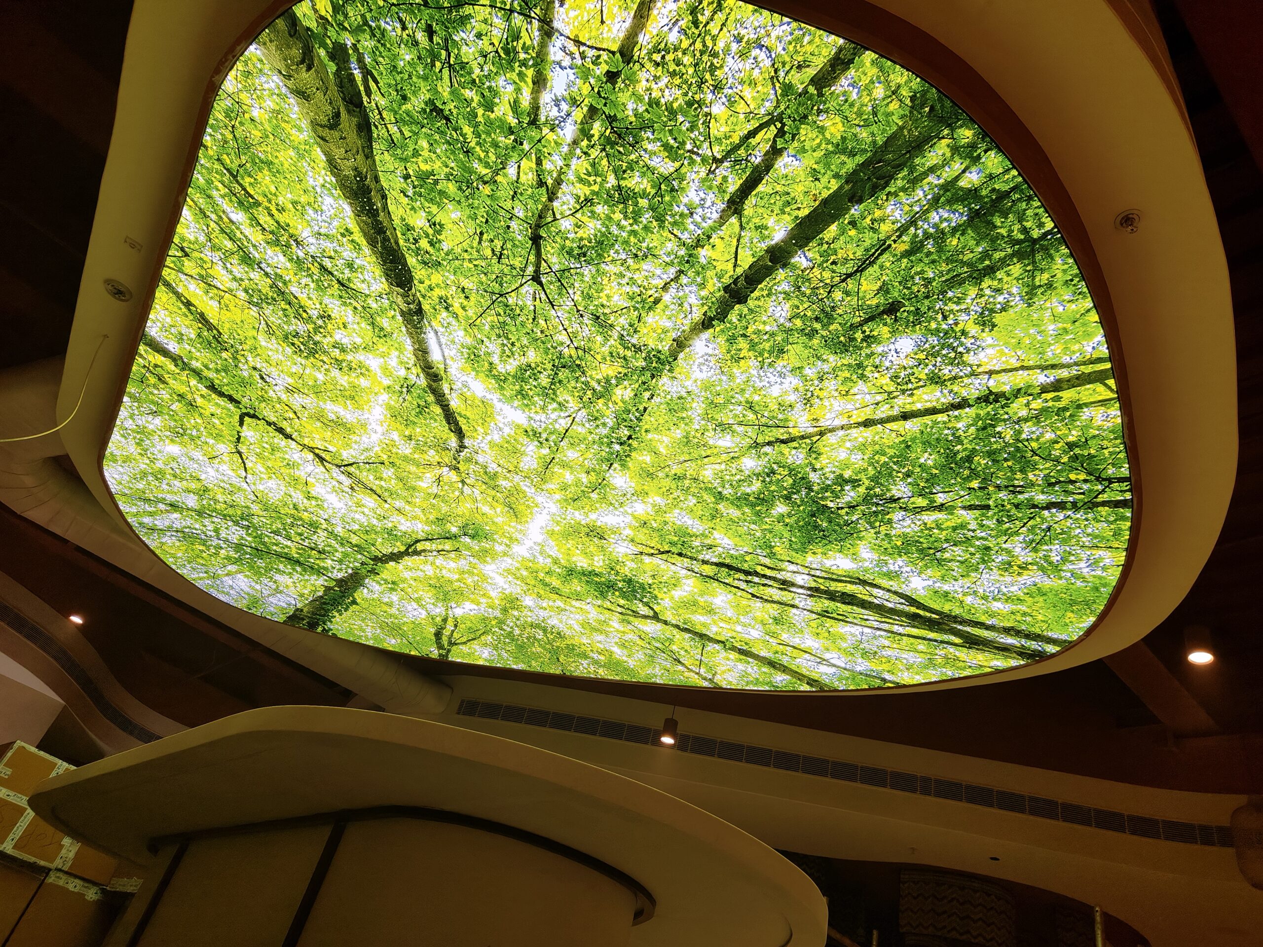 printed stretch ceiling at rk enterprises