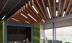 baffle ceiling interior designer