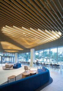 baffle ceiling interior designer