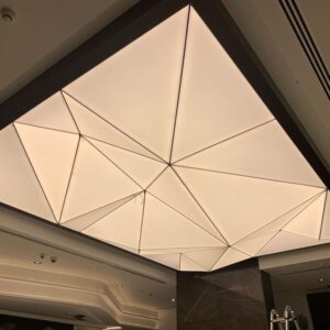 3D Forms Ceiling