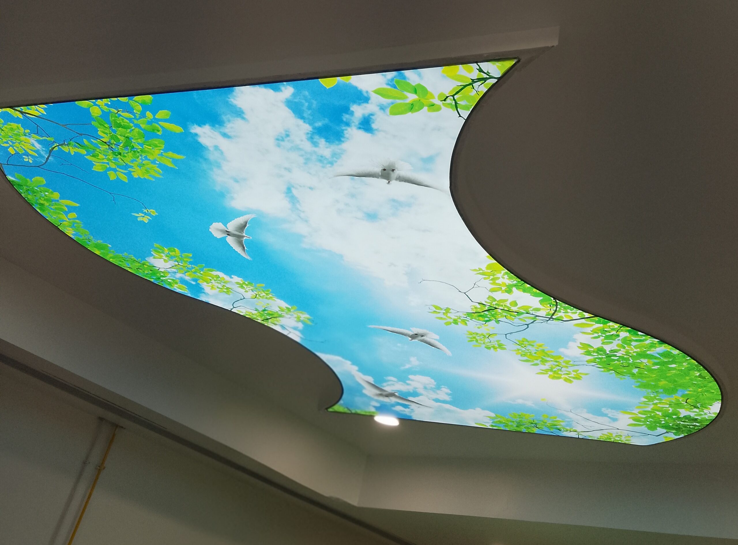 silverline speciality hospital stretch ceiling | Rk rkenterprisestrichy